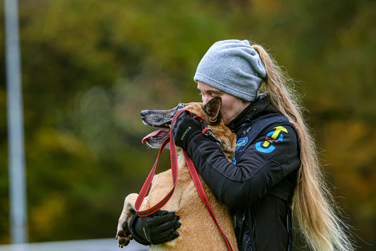 Dog about us landing page pic