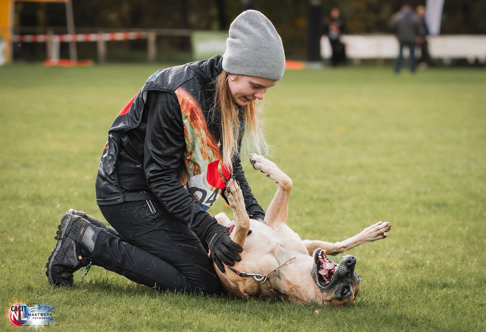 Dog about us landing page pic